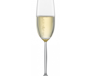 Champagnerglas Schott Zwiesel 
